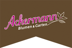Ackermann Blumen & Garten | Gärtnerei und Gartenpflege